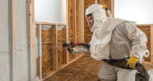 Top Roofers in Tampa: Find the Best for Your Roofing Needs Roofing Needs