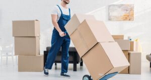 Beyond Boxes: Navigating Smooth Moves with Expert Advice Moves