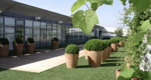 The Advantages of Artificial Turf for Playground Surfaces Artificial Turf