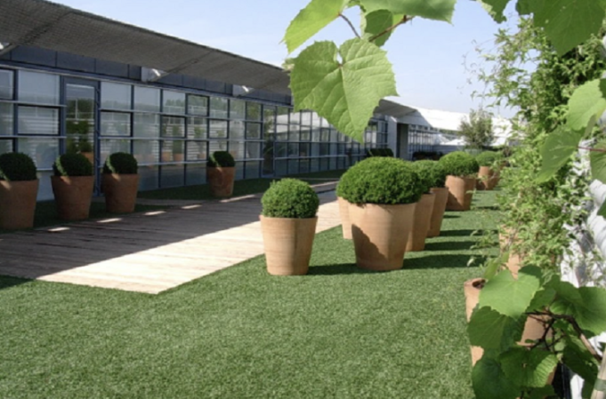 Artificial Turf Artificial Turf
