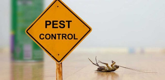 Pest Control Pest Control