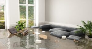 Quick Action Guide: Water Damage Restoration To Save Your Property Water Damage Restoration