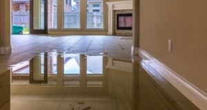 Top Causes of Water Damage in Durham and How to Prevent Them Water Damage