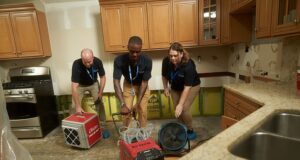 What Makes A Reliable Water Damage Cleanup Company Stand Out? Water Damage Cleanup