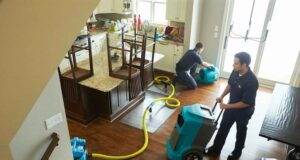 The Importance Of Quick Action: Why You Need A Water Damage Restoration Company? Water Damage Restoration
